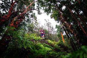 BIB: 
                            <button type="button" onclick="openModal(26203045)" class="btn btn-primary btn-sm float-right btn-popup" data-toggle="modal" data-target=".modal-high-quality">
                        <i class="fas fa-shopping-cart"></i> Add to Cart
                    </button>
                                            <button type="button" onclick="isThisMe(26203045, true)" class="btn btn-success btn-sm float-right btn-popup btn-isme hidden" data-toggle="tooltip" data-placement="bottom" title="นี่คือรูปของคุณใช่ไหม คลิกที่นี่เพื่อเอาเข้าอัลบั้ม">
                        <i class="fas fa-plus"></i> Add to album
                    </button>
                    <button type="button" onclick="isThisMe(26203045, false)" class="btn btn-warning btn-sm float-right btn-popup btn-isnotme hidden">
                        <i class="fas fa-ban"></i> Remove from album
                    </button>